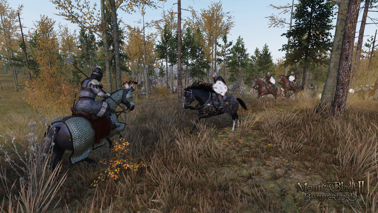 Mount and Blade II - Bannerlord  Bild © Taleworlds Entertainment