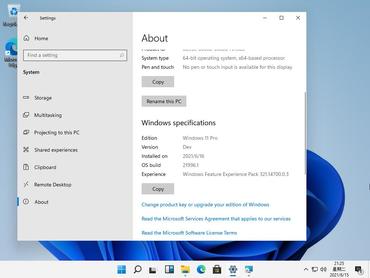 Windows 11 Pro Vorschau 