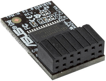  TPM 2.0 Modul kaufen