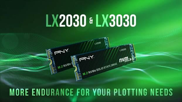 PNY LX2030 und LX3030 Chia Plotting PNY LX2030 und LX3030 Chia Plotting