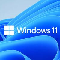 Microsoft liefert Windows 11 Insider Preview Build 22000.132 mit Updates für Windows Apps aus