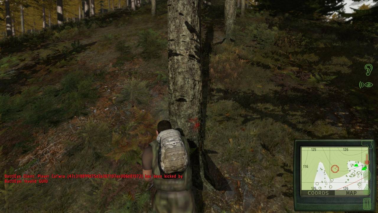 DayZ (Alpha) im Test PC Masters