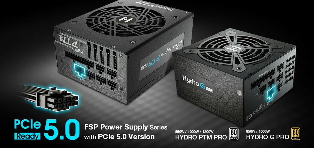 FSP-PCIe-5  Bild © FSP