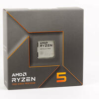 AMD Ryzen 5 7600X im Test/Review