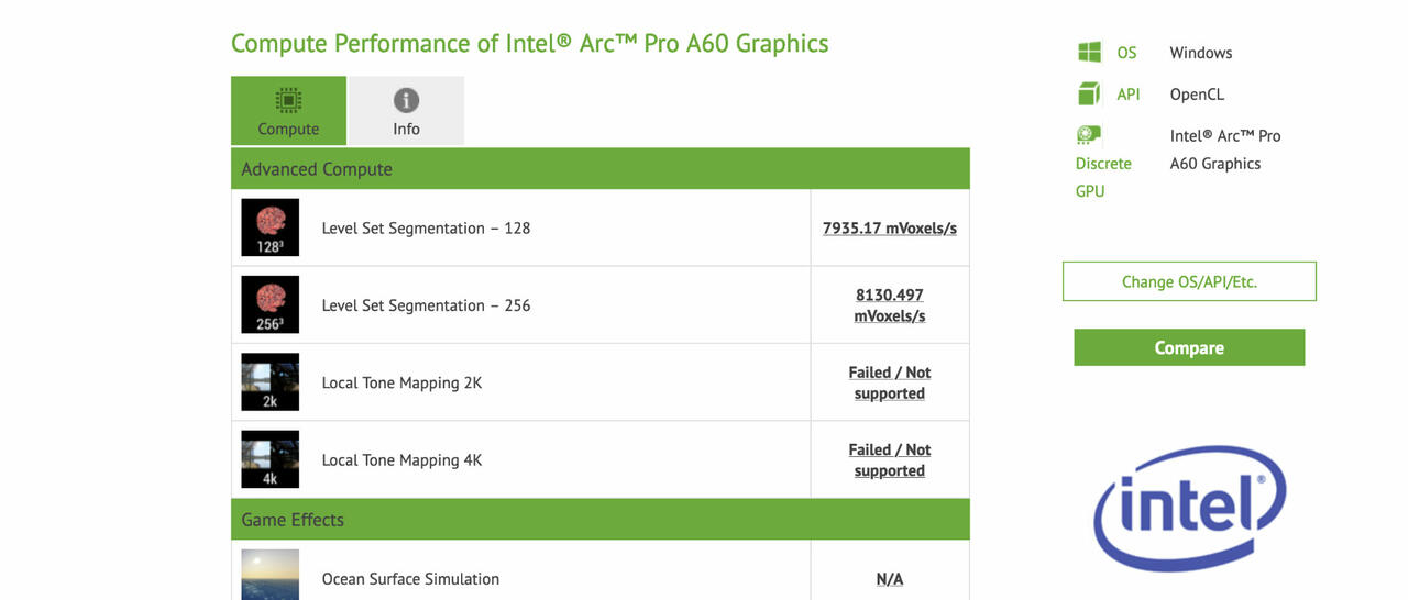 Intel Arc Pro A60 Grafikkarte  Bild © Compubench