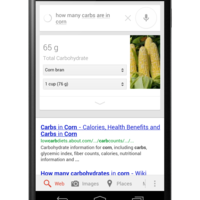 Google Search-Ernährung