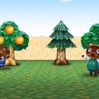 Animal Crossing: Free2Play-Ableger möglich