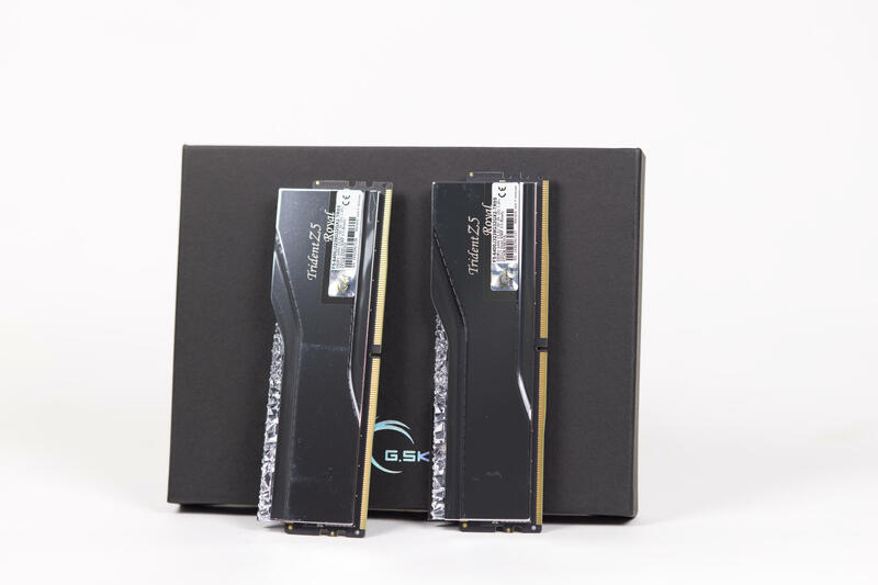 G.Skill Trident Z5 Royal RGB Silver im Test/Review