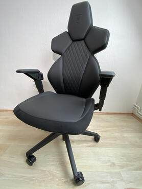 noblechairs DAWN 000   Model 03