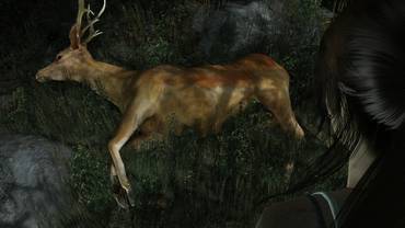 Tomb Raider Screenshot 03