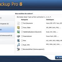 Ocster Backup Pro 8