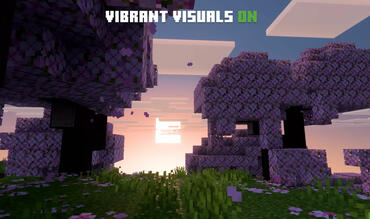 Minecraft Vibrant Visuals Grafik Update 2