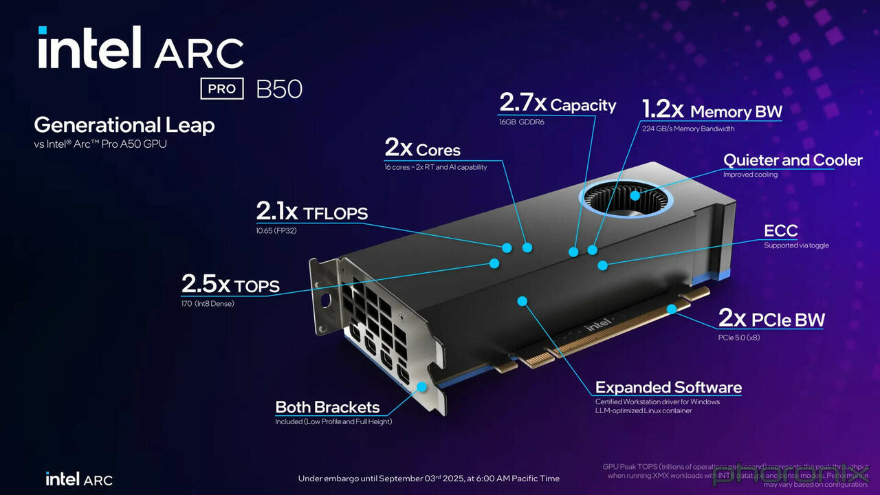 Intel Arc Pro B50 Spezifikationen  Bild © Intel über TechPowerUp