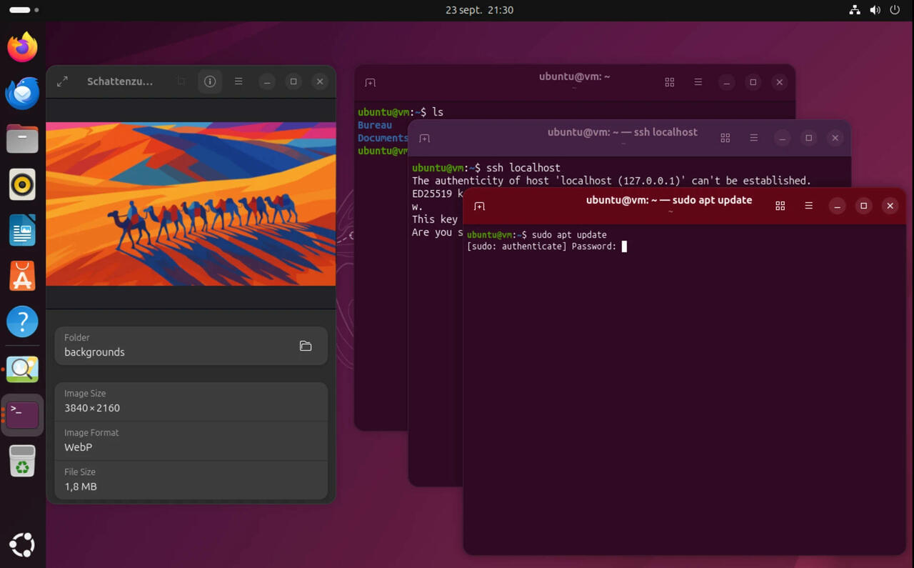 Ubuntu 25.10 Desktop GNOME 49  Bild © Canonical