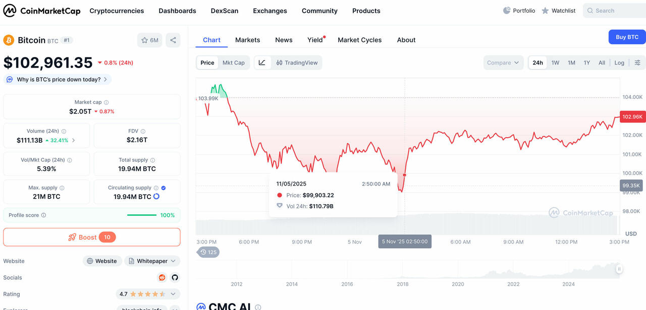 BTC Kurs Bitcoin fällt unter 100.000 Dollar  Bild © Coinmarketcap