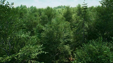 Unreal Engine 5.7 Bäume