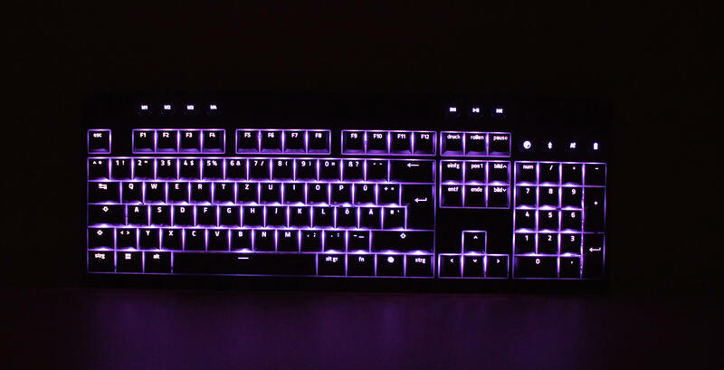 Black Widow v4 low Profile Tastatur Beleuchtung Lila Black Widow v4 low Profile Tastatur Beleuchtung Lila
