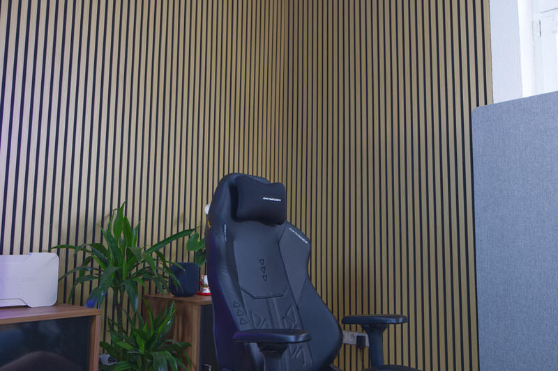 DXRacer Martian Pro XL Kissen DXRacer Martian Pro XL Kissen