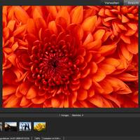 ACDSee Pro 6