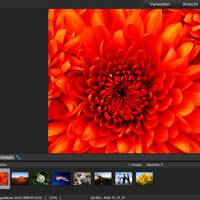 ACDSee Pro 6