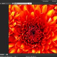ACDSee Pro 6