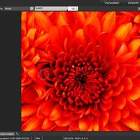 ACDSee Pro 6