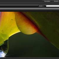 ACDSee Pro 6
