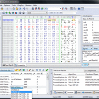 Hex Workshop Hex-Editor