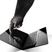 Gorilla Glass NBT