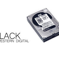 Western Digital Black WD4001FAEX 4 TB