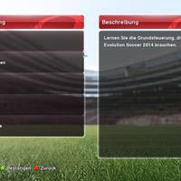 PES 2014