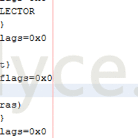 Log-File-Nexus 5