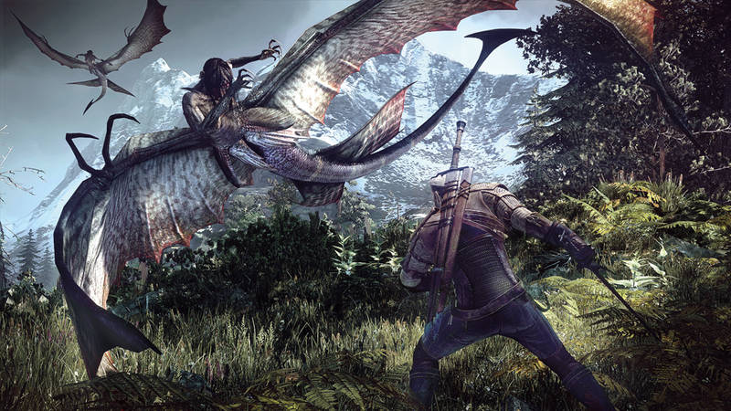 The Witcher 3 The Wild Hunt The Witcher 3 The Wild Hunt