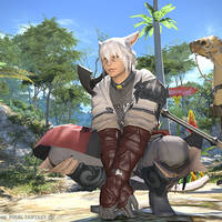 Final Fantasy XIV A Realm Reborn