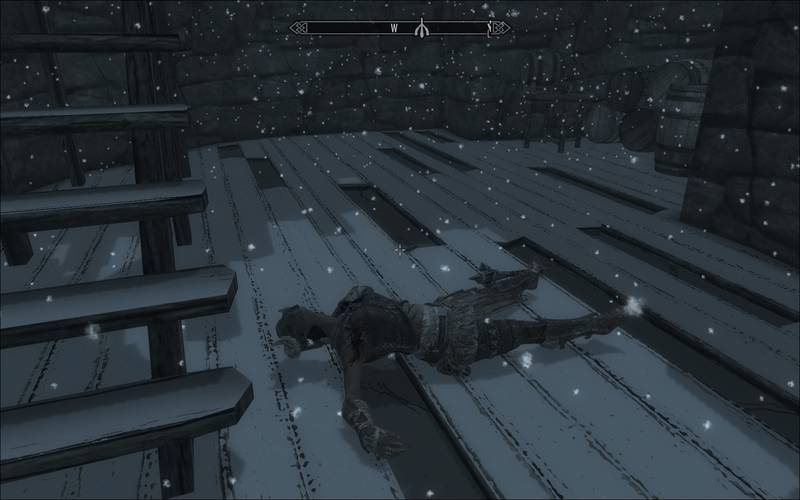 The Elder Scrolls 5 Skyrim (TES) The Elder Scrolls 5 Skyrim (TES)