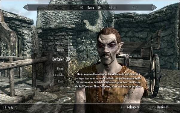 The Elder Scrolls 5 Skyrim (TES) The Elder Scrolls 5 Skyrim (TES)