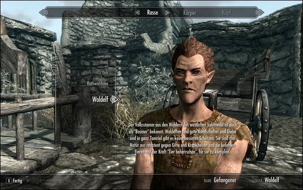 The Elder Scrolls 5 Skyrim (TES) The Elder Scrolls 5 Skyrim (TES)