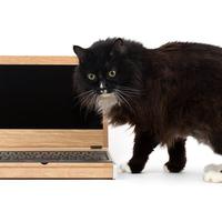 Novena Heirloom Laptop mit Katze