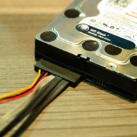 Western Digital SATA-Express-Festplatte