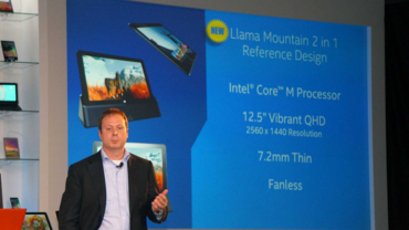 Intel "Llama Mountain"