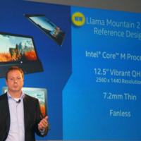 Intel "Llama Mountain"